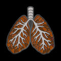 Iron Lung: Lung-Shaped Enamel Pin